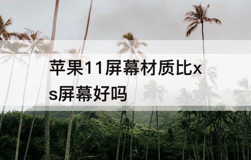 苹果11屏幕材质比xs屏幕好吗