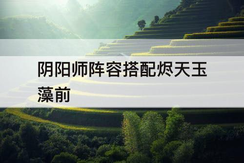 阴阳师阵容搭配烬天玉藻前