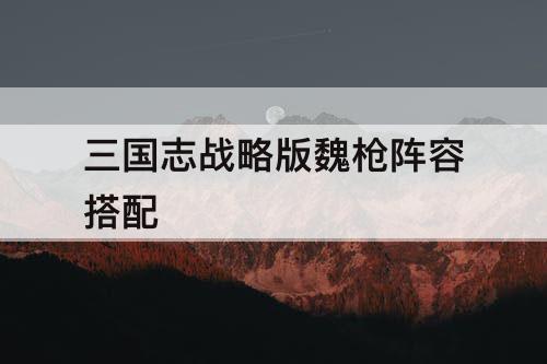 三国志战略版魏枪阵容搭配