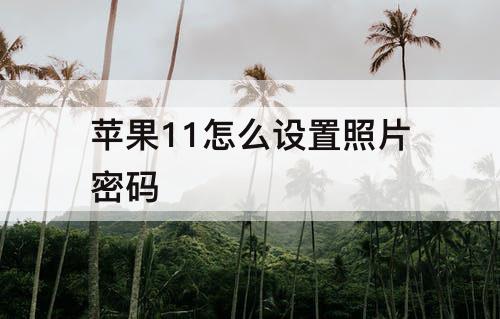 苹果11怎么设置照片密码