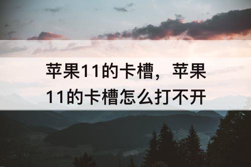 苹果11的卡槽，苹果11的卡槽怎么打不开