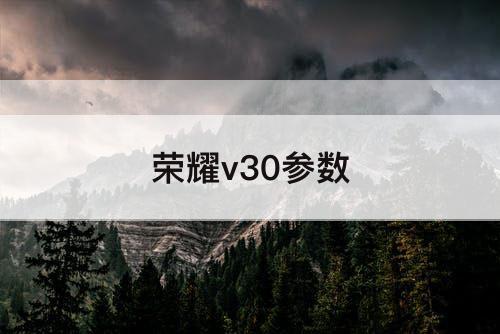 荣耀v30参数