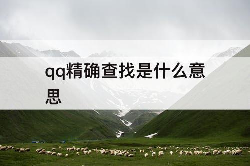 qq精确查找是什么意思