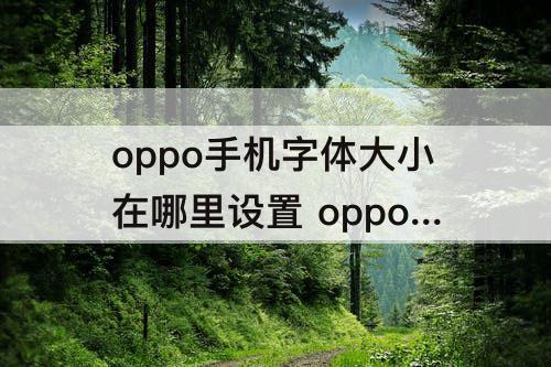 oppo手机字体大小在哪里设置 oppo手机字体大小在哪里设置方法