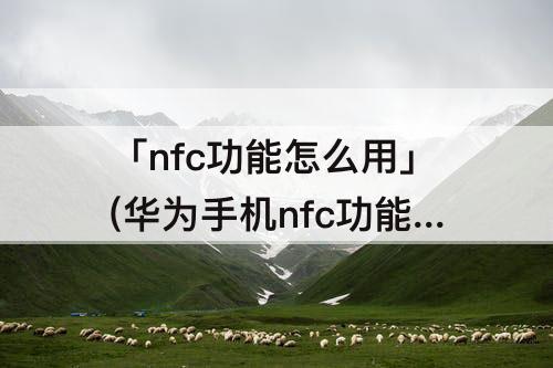 「nfc功能怎么用」(华为手机nfc功能怎么用支付宝)