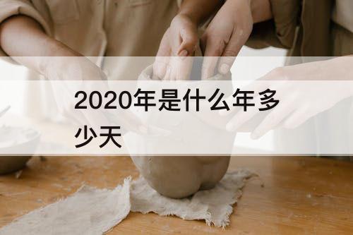 2020年是什么年多少天