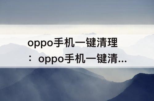 oppo手机一键清理：oppo手机一键清理垃圾