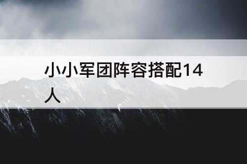 小小军团阵容搭配14人