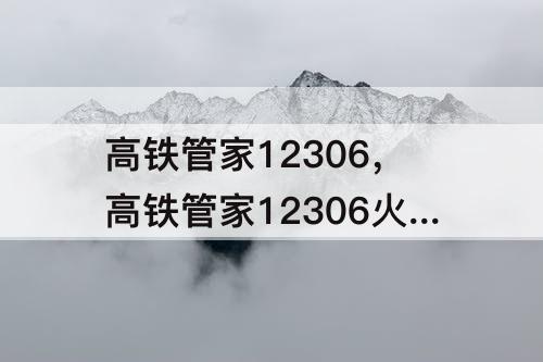 高铁管家12306，高铁管家12306火车票如何治理