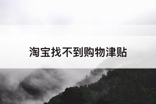 淘宝找不到购物津贴