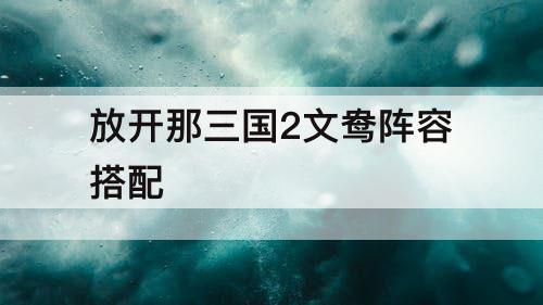 放开那三国2文鸯阵容搭配