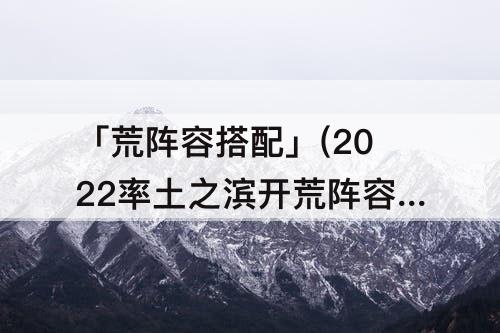 「荒阵容搭配」(2022率土之滨开荒阵容搭配排行)