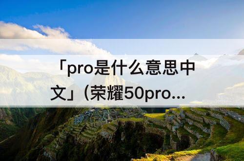 「pro是什么意思中文」(荣耀50pro是什么意思中文)