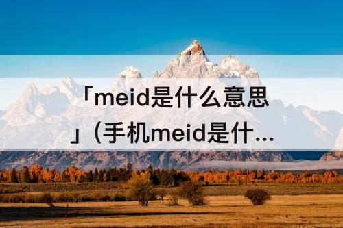 「meid是什么意思」(手机meid是什么意思被别人知道了怎么办)