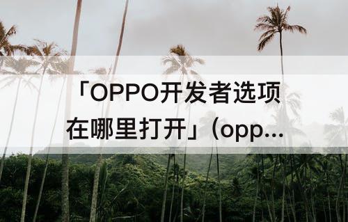 「OPPO开发者选项在哪里打开」(oppo开发者选项在哪里打开调试功能)