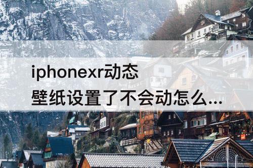 iphonexr动态壁纸设置了不会动怎么办?