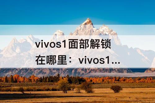 vivos1面部解锁在哪里：vivos1面部解锁在哪里设置