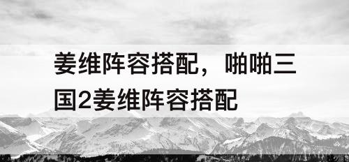 姜维阵容搭配，啪啪三国2姜维阵容搭配