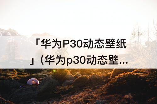 「华为P30动态壁纸」(华为p30动态壁纸设置)