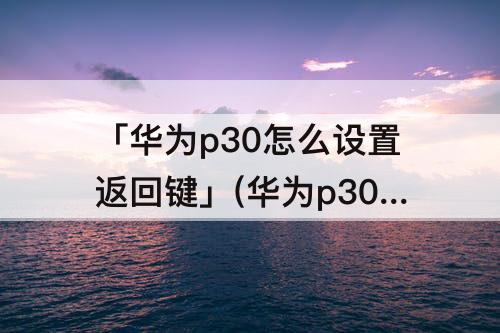 「华为p30怎么设置返回键」(华为p30怎么设置返回键在右边)