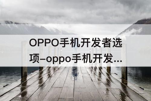 OPPO手机开发者选项-oppo手机开发者选项设置完成后如何保存