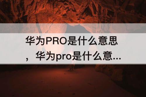 华为PRO是什么意思，华为pro是什么意思中文