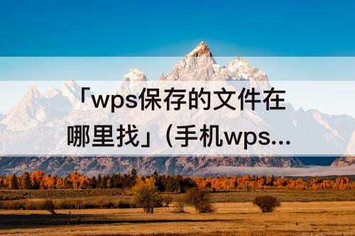 「wps保存的文件在哪里找」(手机wps保存的文件在哪里找)