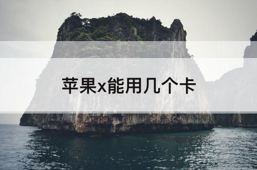 苹果x能用几个卡