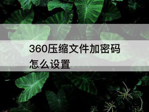 360压缩文件加密码怎么设置