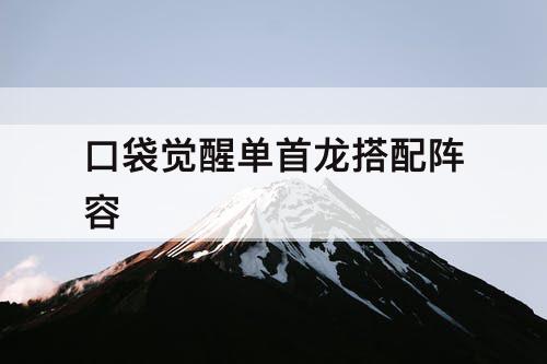 口袋觉醒单首龙搭配阵容
