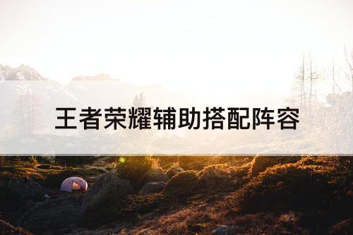王者荣耀辅助搭配阵容