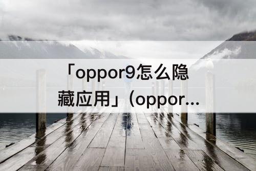 「oppor9怎么隐藏应用」(oppor9怎么隐藏应用图标的软件)
