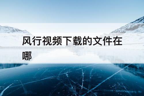 风行视频下载的文件在哪