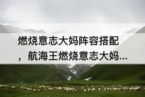 燃烧意志大妈阵容搭配，航海王燃烧意志大妈阵容搭配