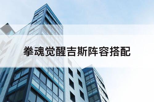 拳魂觉醒吉斯阵容搭配