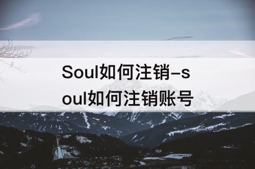 Soul如何注销-soul如何注销账号