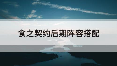 食之契约后期阵容搭配
