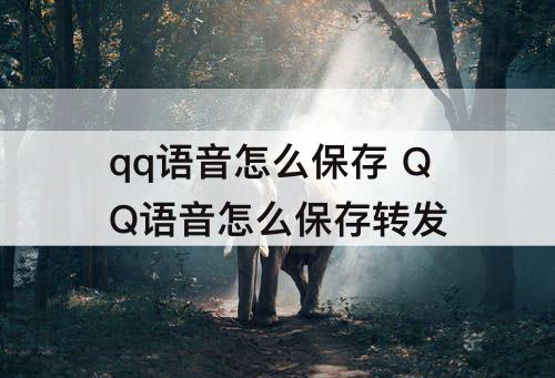 qq语音怎么保存 QQ语音怎么保存转发