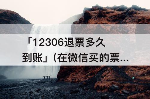 「12306退票多久到账」(在微信买的票在12306退票多久到账)