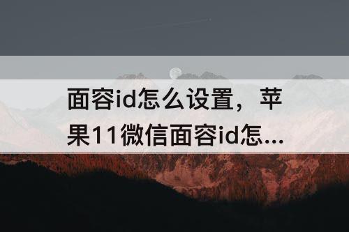 面容id怎么设置，苹果11微信面容id怎么设置