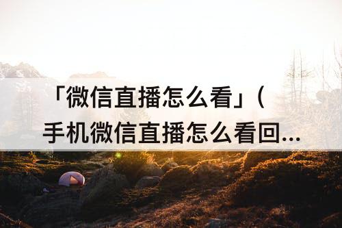 「微信直播怎么看」(手机微信直播怎么看回放)