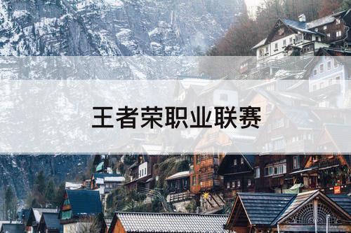 王者荣职业联赛