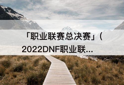 「职业联赛总决赛」(2022DNF职业联赛总决赛冠军)