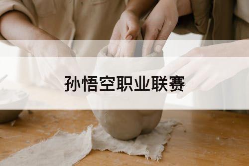 孙悟空职业联赛