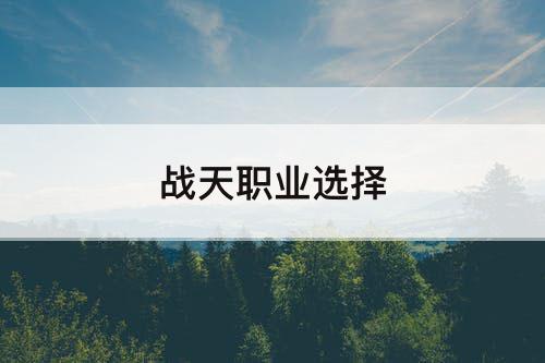 战天职业选择