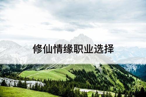 修仙情缘职业选择