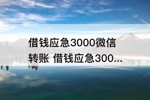 借钱应急3000微信转账 借钱应急3000微信转账怎么开通