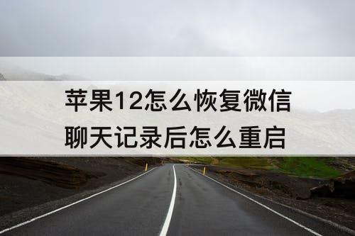 苹果12怎么恢复微信聊天记录后怎么重启