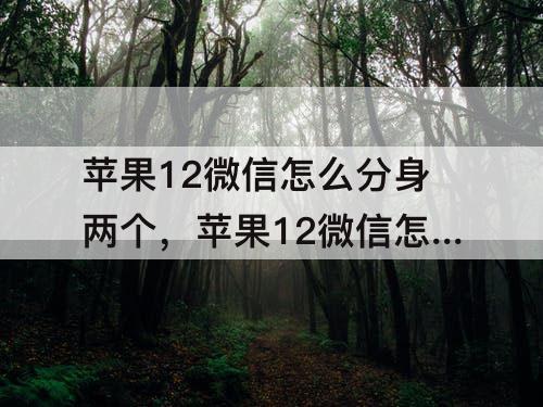 苹果12微信怎么分身两个，苹果12微信怎么分身两个微信