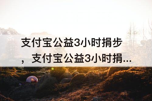 支付宝公益3小时捐步，支付宝公益3小时捐步完不成怎么办